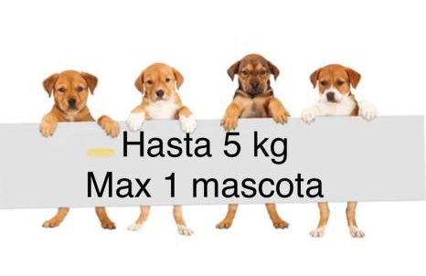 Apartamento Analema con piscina wifi y aire acondicionado - Foto 25