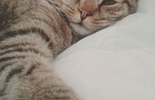 Cute Quirky Cottage - Foto 6