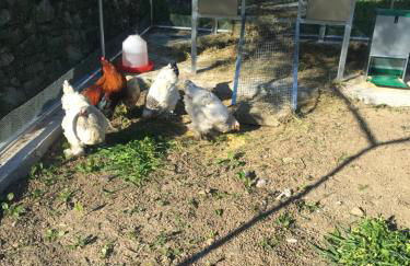 Agriturismo Oltrealmare - Foto 45