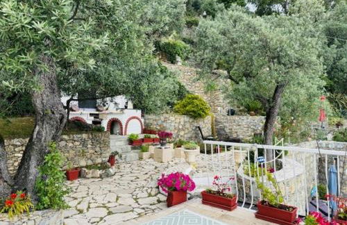 Sea South front property1/2acre.Gardens pool hydro - Foto 11