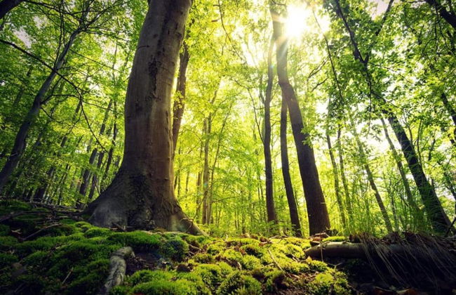 Apartment in Heringhausen Near Ski Lift - Photo 25