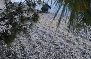 Apartman studio Otium - Photo 39