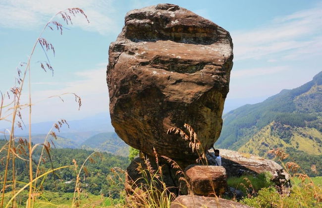 Mount view family rest & cottage - Photo 44