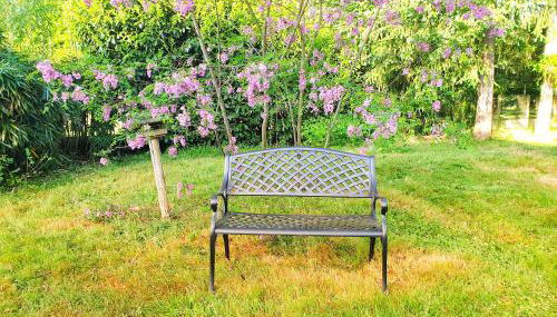 Reposant, arboré, confort, clos, bien équipé, Beauval, Châteaux - Photo 2, Garden, Garden view