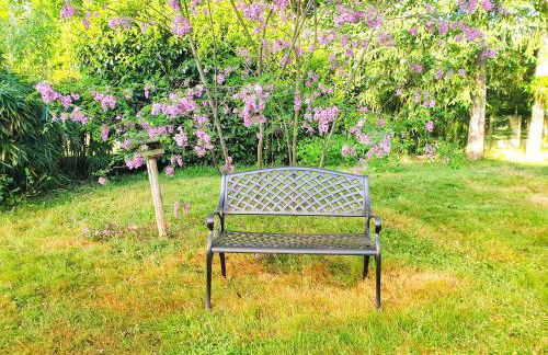 Reposant, arboré, confort, clos, bien équipé, Beauval, Châteaux - Foto 2