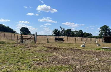 Apple Blues Farm - Foto 26