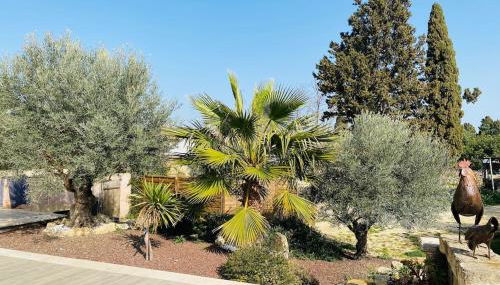 Mas Guiraud, Le Gaspardoux - Foto 4, Garden