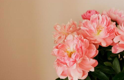 Roman Suite - Photo 7