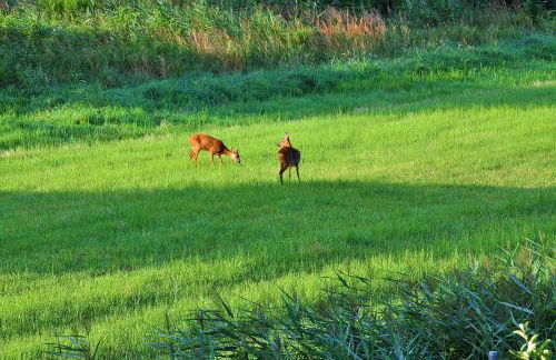 Elbhus Hamburg - Foto 103