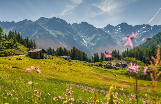 Meine Heimat - Foto 41