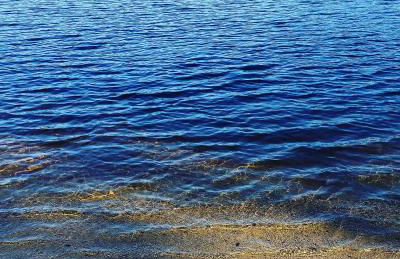 Cabin in the pines - Foto 4