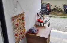 Da Ersilia - Foto 27