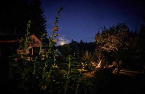 Blickinsfreie - Cabin - Foto 31