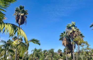 Estepona Penthouse Resort with Private Solárium - Pool & Free Parking - Photo 23