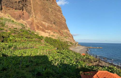 Fajã dos Padres - Foto 15