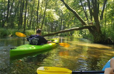 Wiele Żurawi - Foto 24