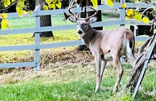 Winifreds Hideaway - Photo 13