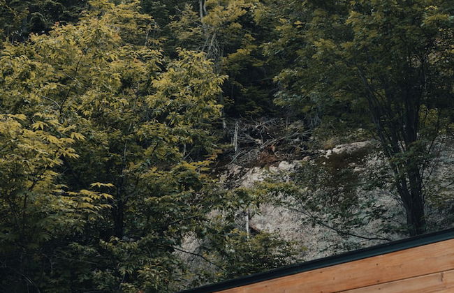 Dômes Charlevoix - Foto 46