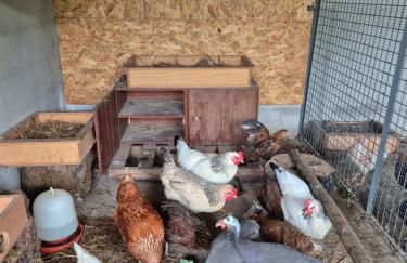 Barrocal Nature Houses - Foto 45