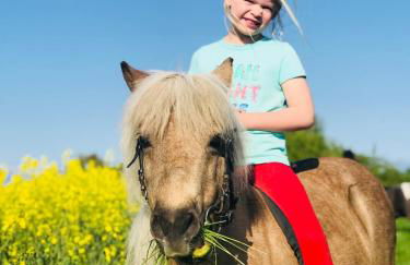 Ferienhof Utech - Foto 13