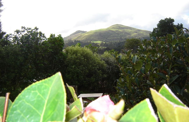 Karangahake Gold 'n Views Cottage - Foto 22