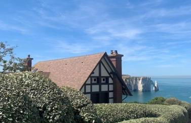 Le Pic D'Etretat - Foto 15