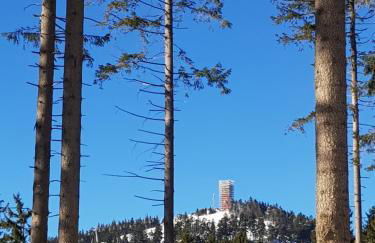 Ferienwohnung Harzurlaub-Schierke - Foto 18