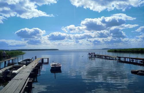 Fischstübchen Neeberg Apt 1 – Wald und Wiese - Foto 39