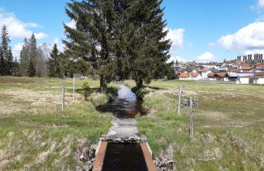 Ferienwohnung am See - Foto 18