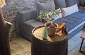 Black Rock Agria - Foto 6