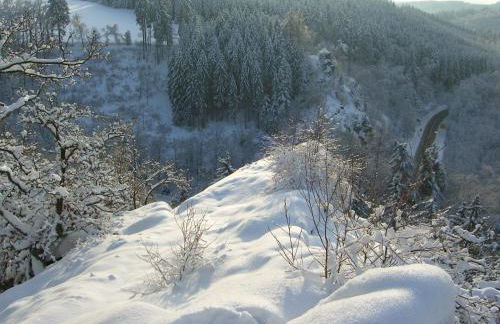 Harzschlösschen - Foto 22