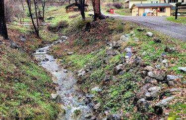 Charming, Pet-friendly Glamping Vacation Rental in Northern California - Foto 7