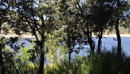 La cabaña del Burguillo - Photo 4