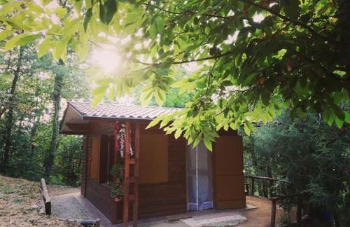 CHALET NEL BOSCO - TENUTA BOCCHINERI - Photo 17