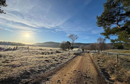 Cosy Highland Cottage in the Woods on Royal Deeside - Foto 14