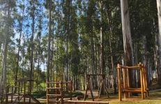 Sobrado 3 Quartos com Piscina - Rivieira Santa Cristina 3 - Foto 50