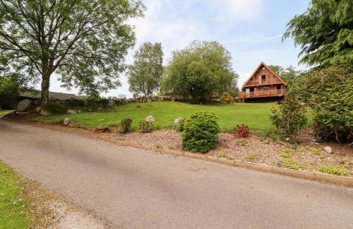 Thistle Dubh "Doo" - Foto 34