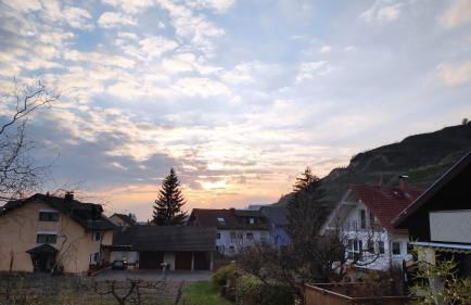 Weingut & Straußwirtschaft Vogel - Foto 21