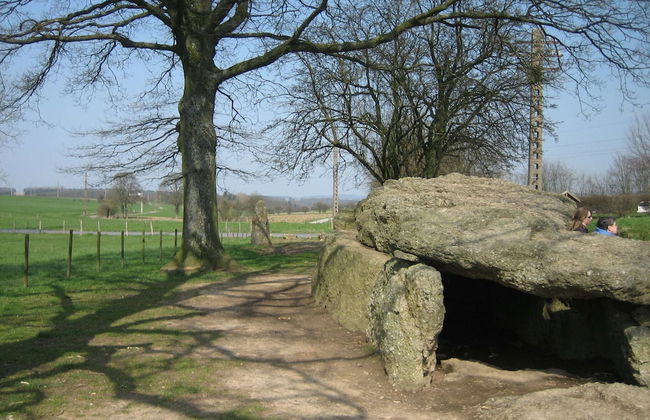 Holiday Home in Fays With Sauna & Hiking - Photo 32