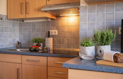 Antares Spiekerooger Gästehaus-Sonnengartenterrasse Nord - Wohnung 1 - Foto 7