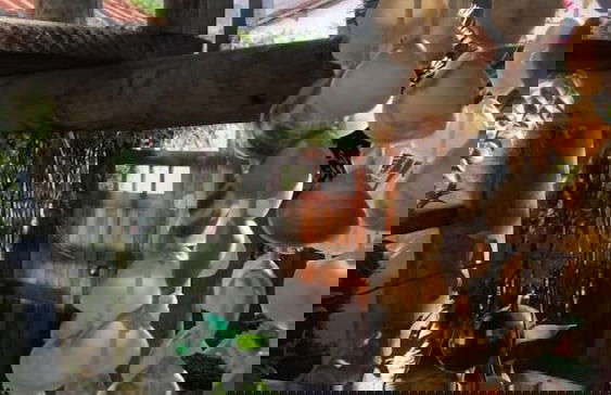 Vila Kuchastana - Photo 11