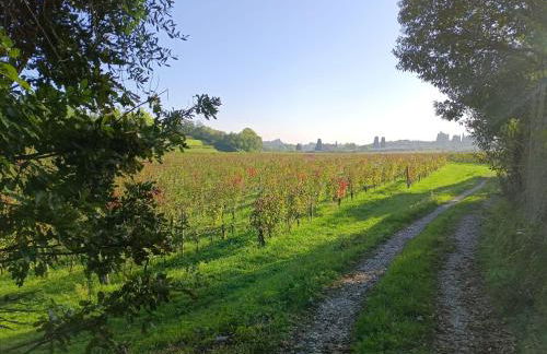 Residenza Gli Agrumi del Garda - Foto 43