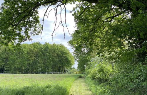 Ferienhäuser Weitblick - Photo 29