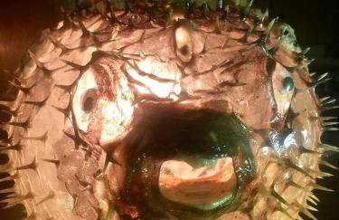 Wonderful A frame Nestled Amidst Trees in Otter Rock, Oregon - Foto 3