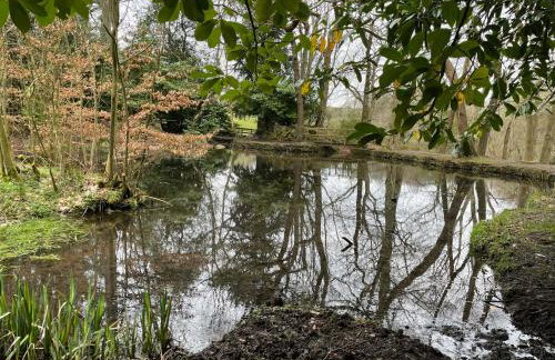 The Therapy Rooms Holmfirth Holiday Let - Foto 30