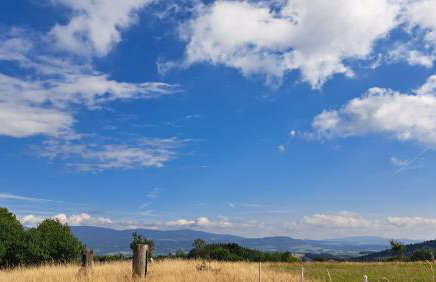 Dom Gościnny Zarembianka - Foto 37