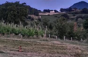 Tenuta del Savonisco - Foto 15