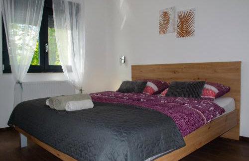 Kraljeva hiža - Apartmani i sobe Kralj - Foto 46