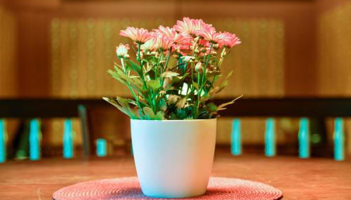 Buchholz Saloon - Foto 5