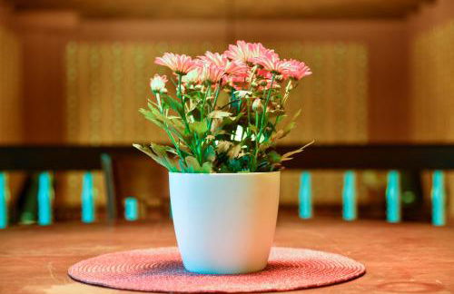 Buchholz Saloon - Foto 5